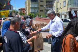 ATA TOHUMU FİDELERİ GÜLÜÇLÜLER İLE BULUŞTU