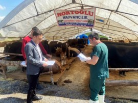 KURBAN PAZARI DENETLENDİ, KURBAN YAKALAMA TİMİ KURULDU