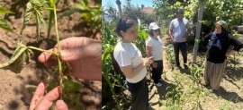 Ziraat Odasından üreticiye tarla ziyareti
